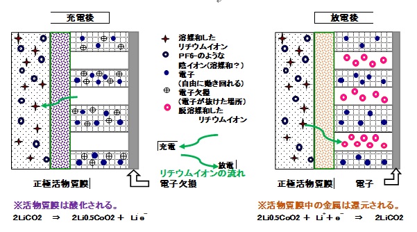 情報機構 講師コラム